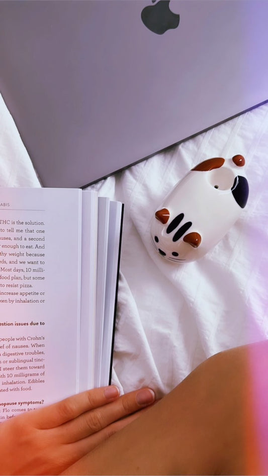 The Timeless Journey of Ceramic Pipes: From Ancient Civilizations to Modern Smoke Sessions