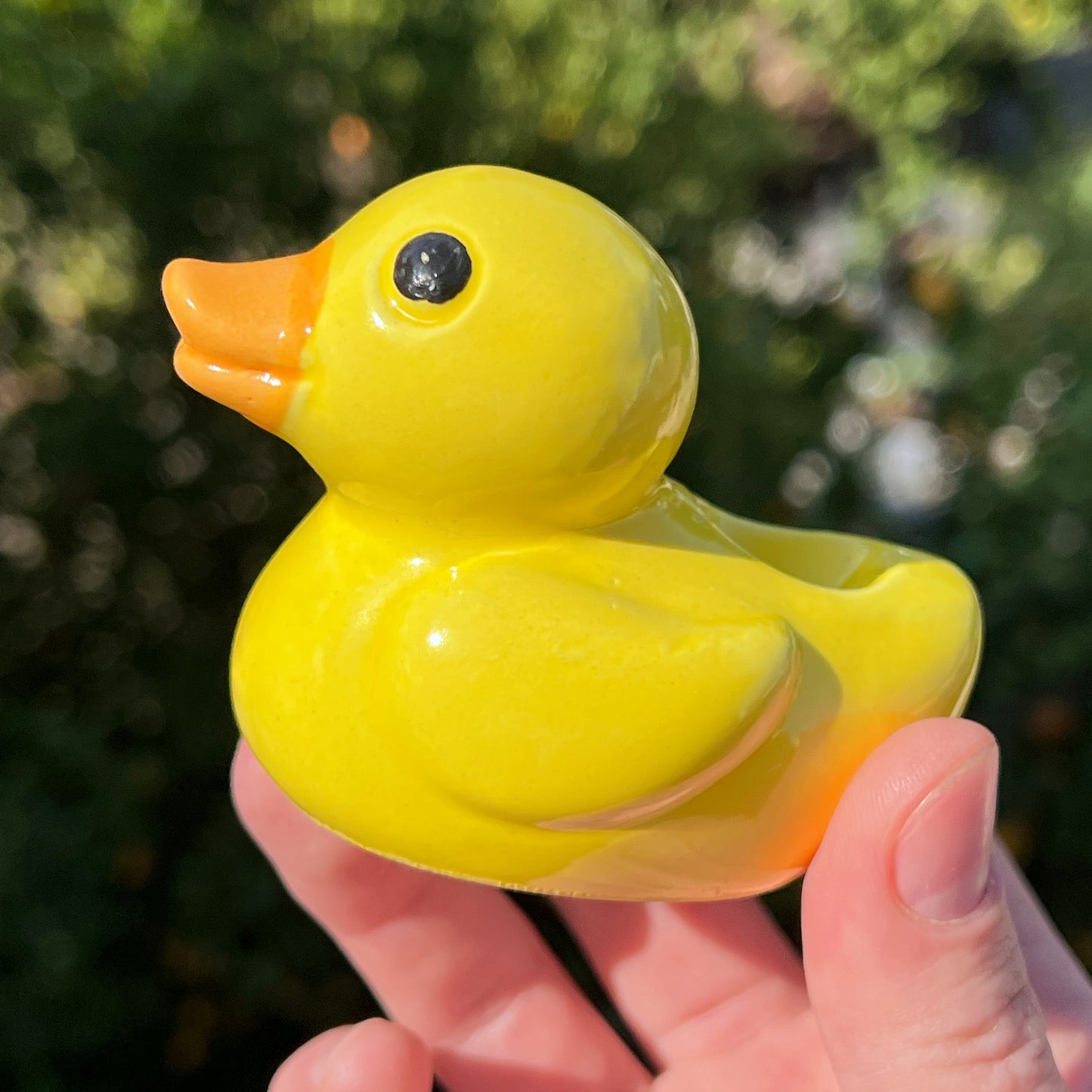 smoking duck pipe