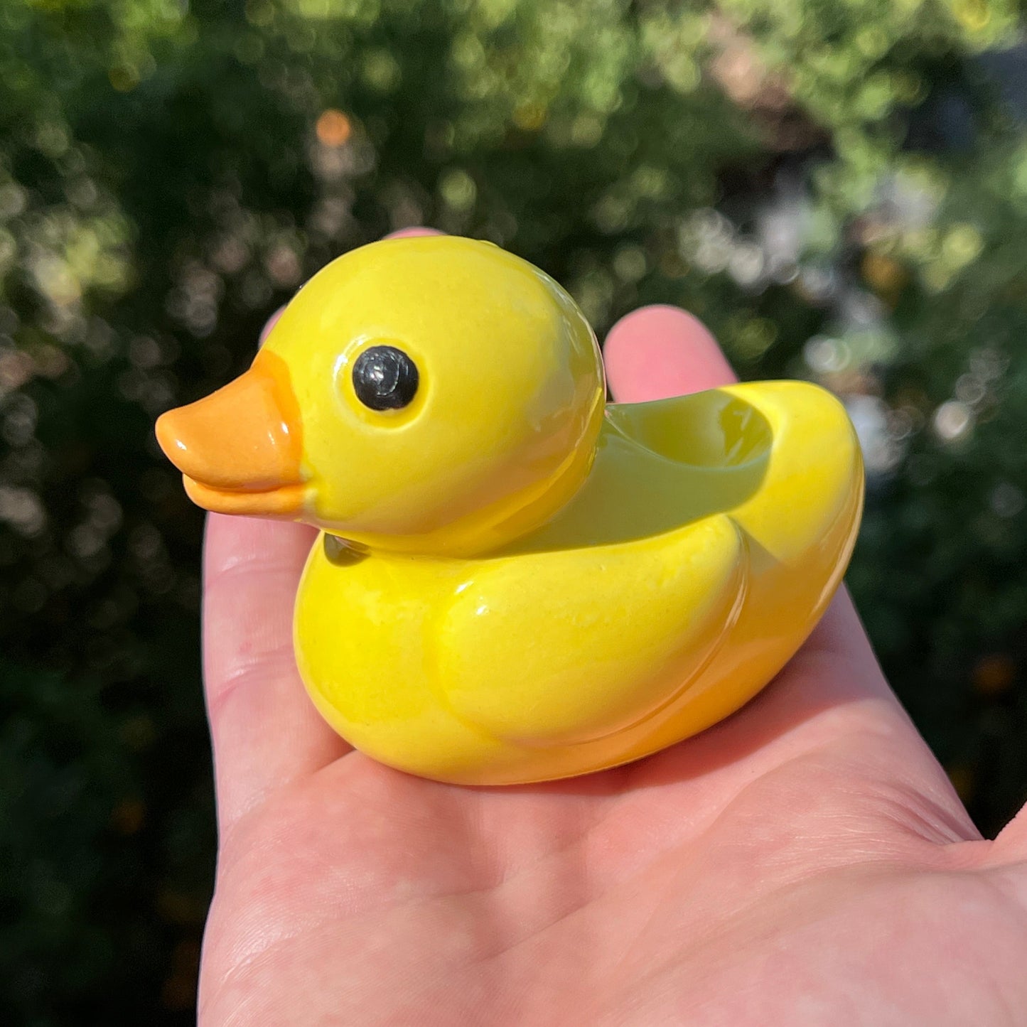 glass duck pipe
