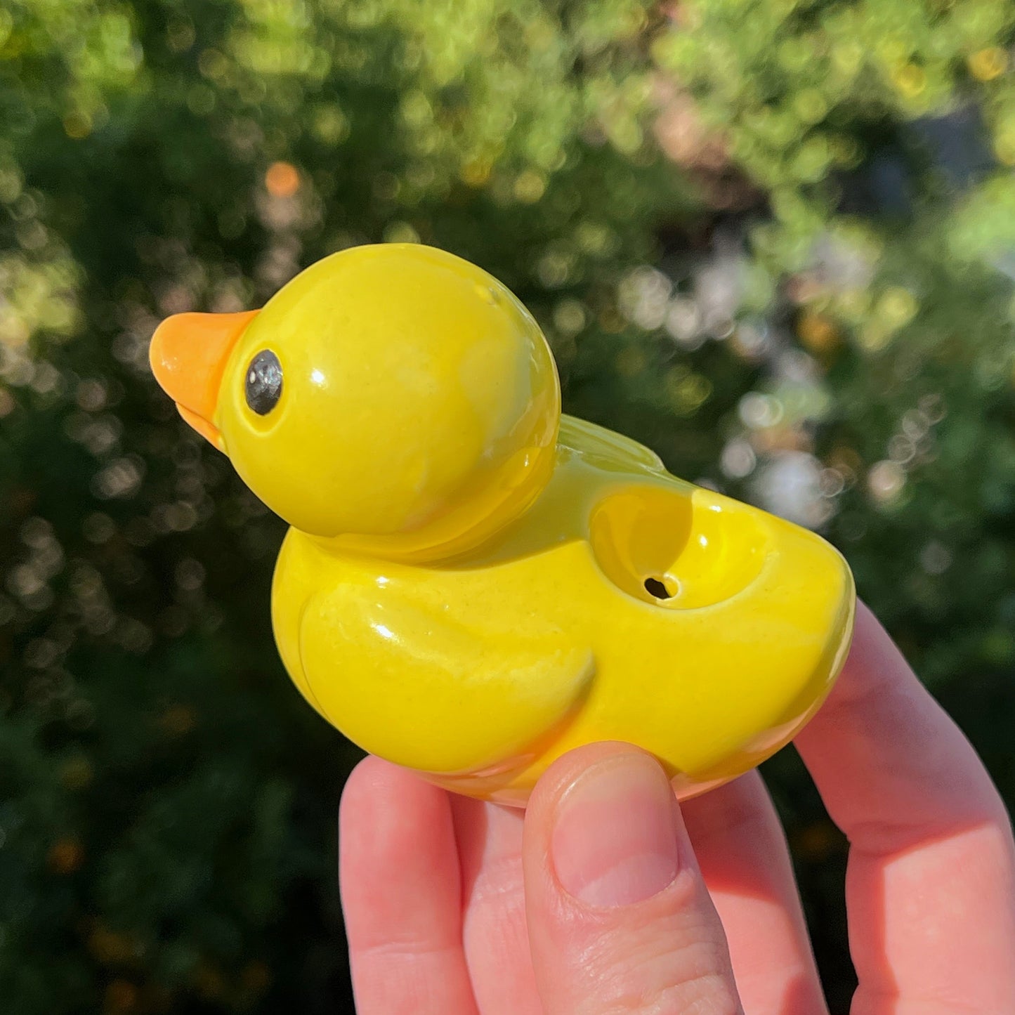 duck weed pipe