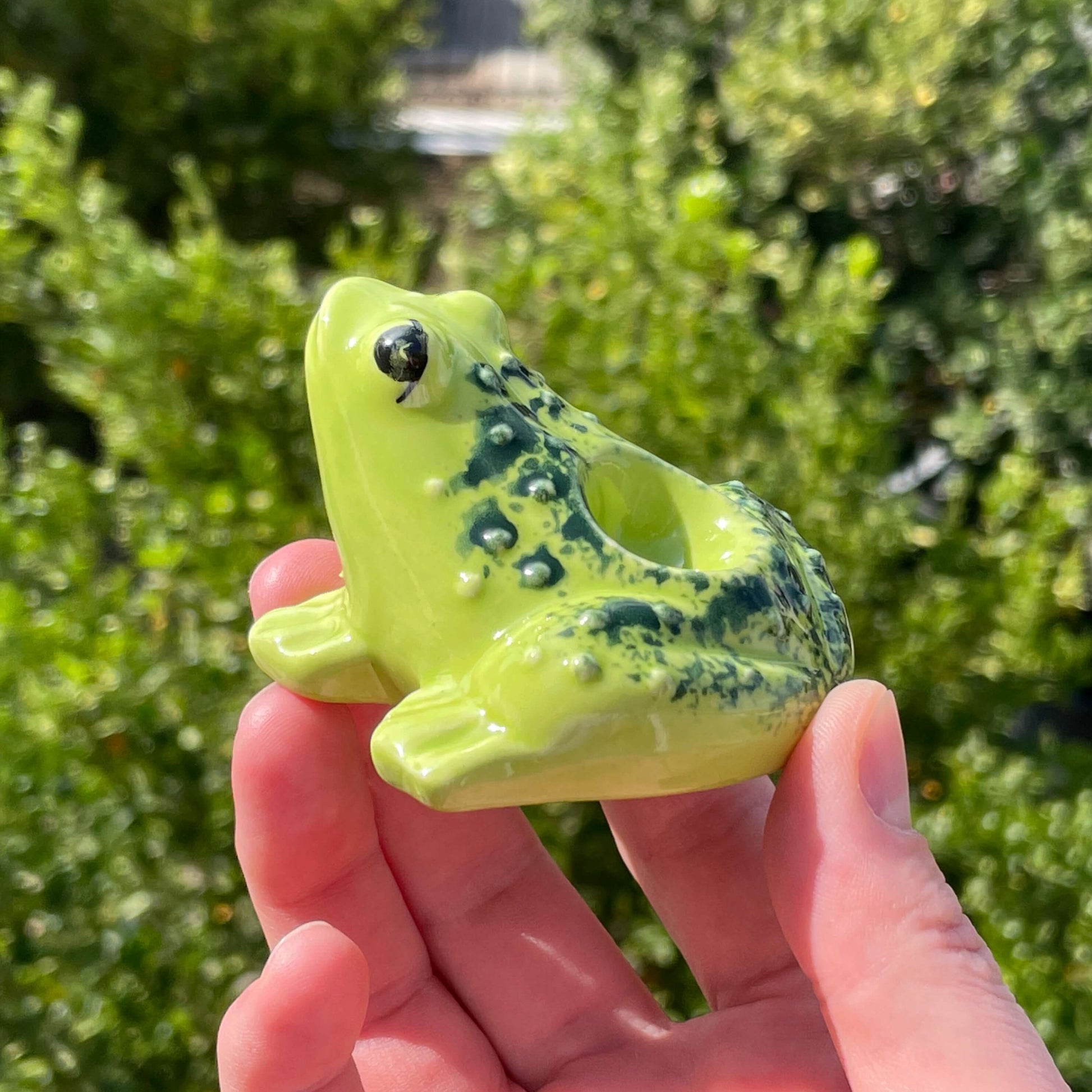 frog ceramic pipe