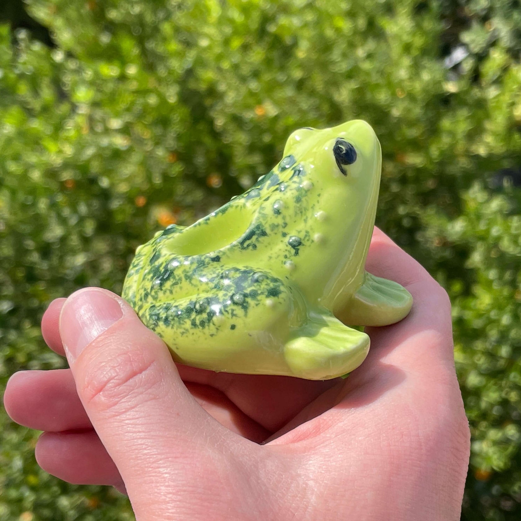 Frog Pipe Cute Ceramic Smoking Froggy Pipe by Cosmos Art Ceramics