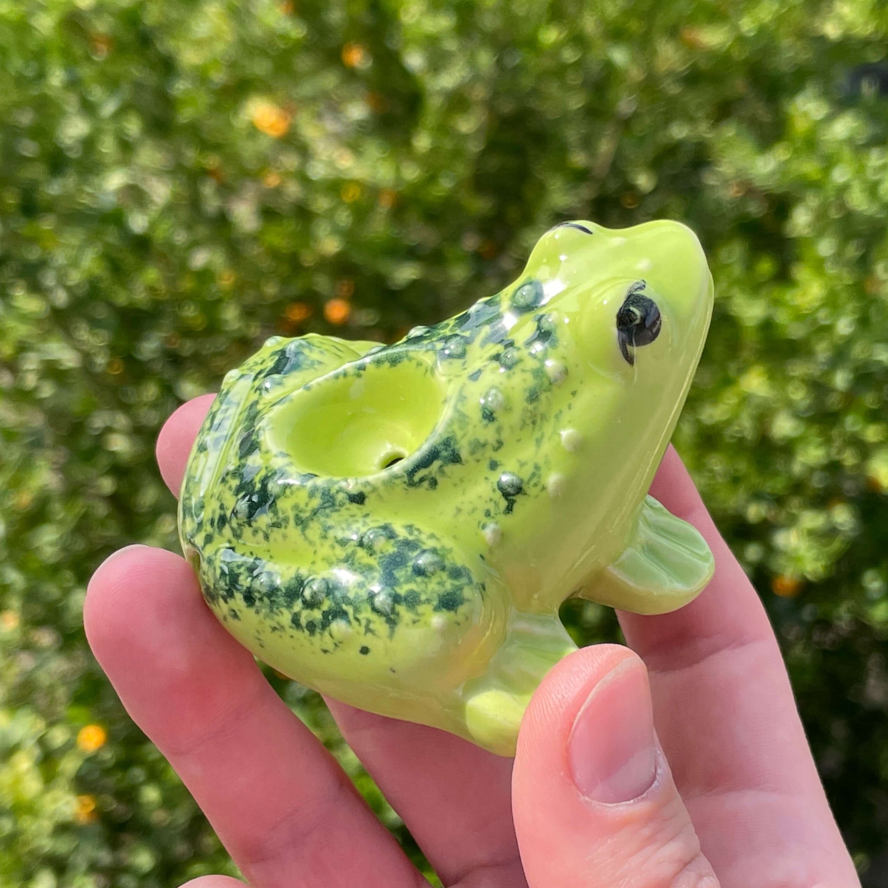 Frog Pipe Cute Ceramic Smoking Froggy Pipe by Cosmos Art Ceramics